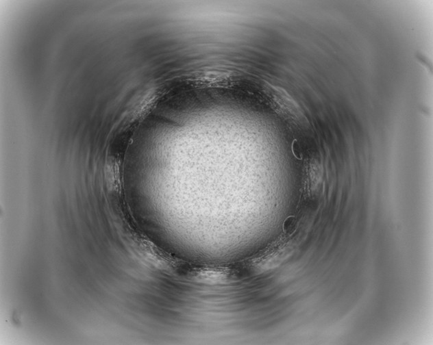 X0000097290236200802221319
