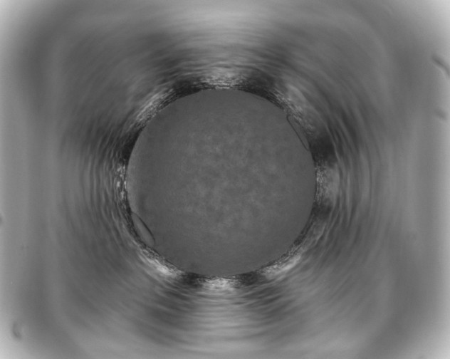 X0000097290237200802221319
