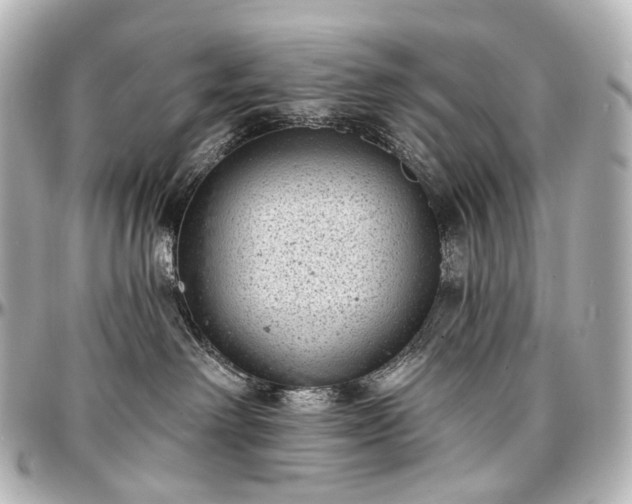 X0000097290238200802221319