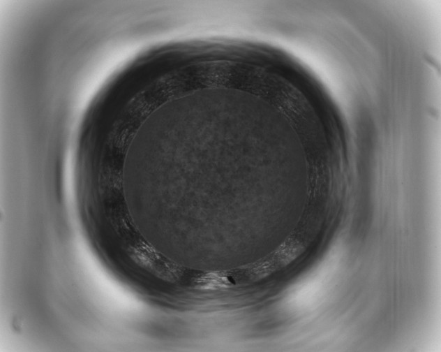 X0000097290239200802221319