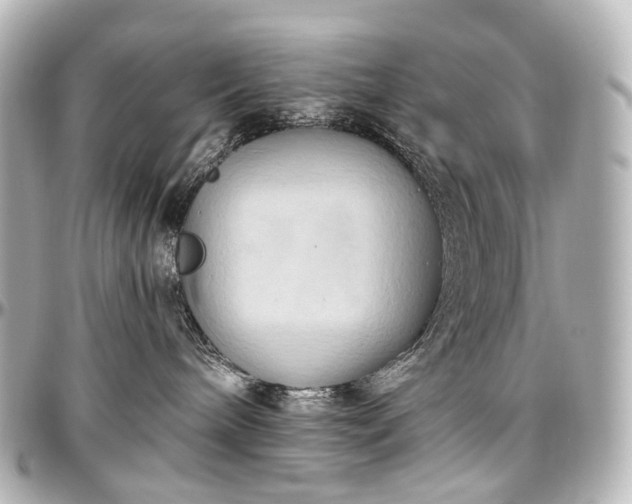 X0000097290240200802221319
