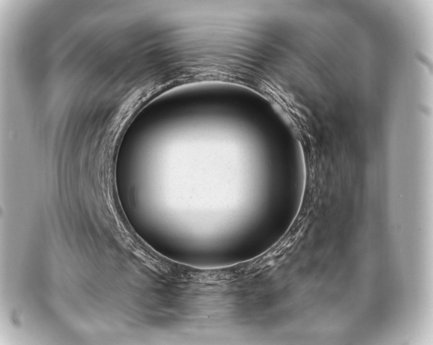 X0000097290241200802221318