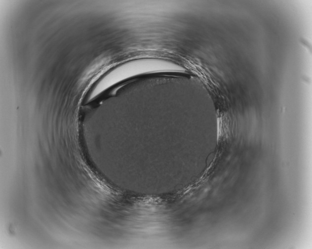 X0000097290243200802221318
