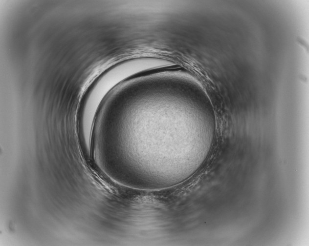 X0000097290244200802221318