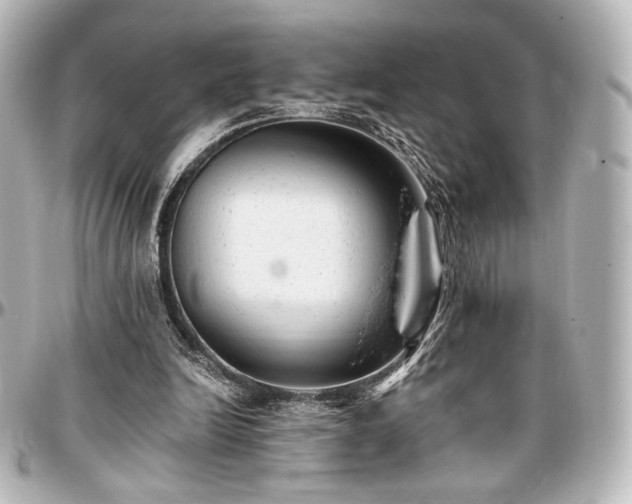 X0000097290246200802221318