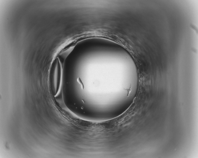 X0000097290248200802221318
