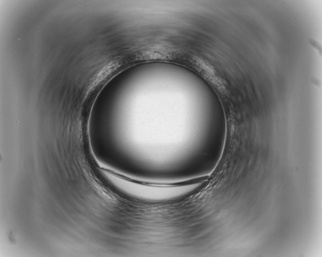 X0000097290250200802221318