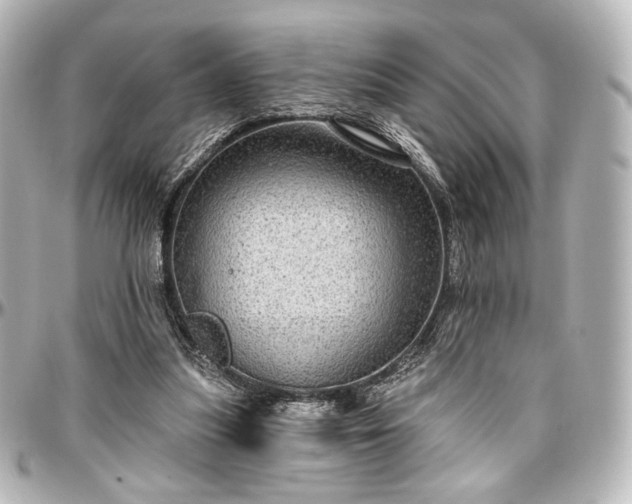 X0000097290251200802221318