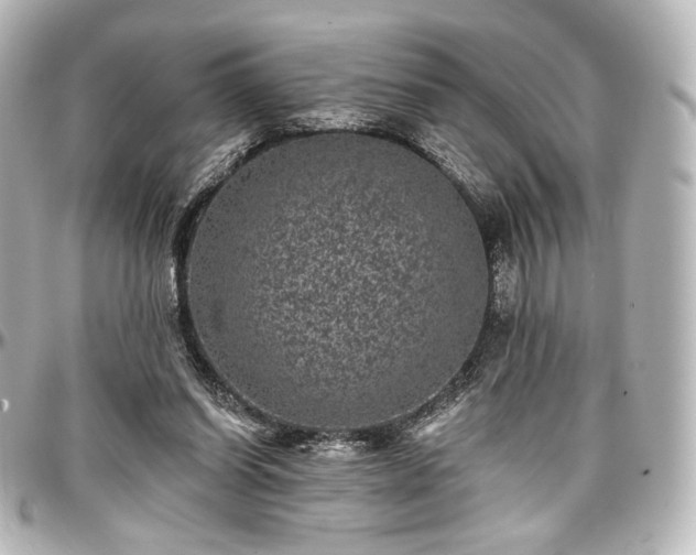 X0000097290254200802221318