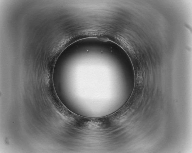X0000097290255200802221318