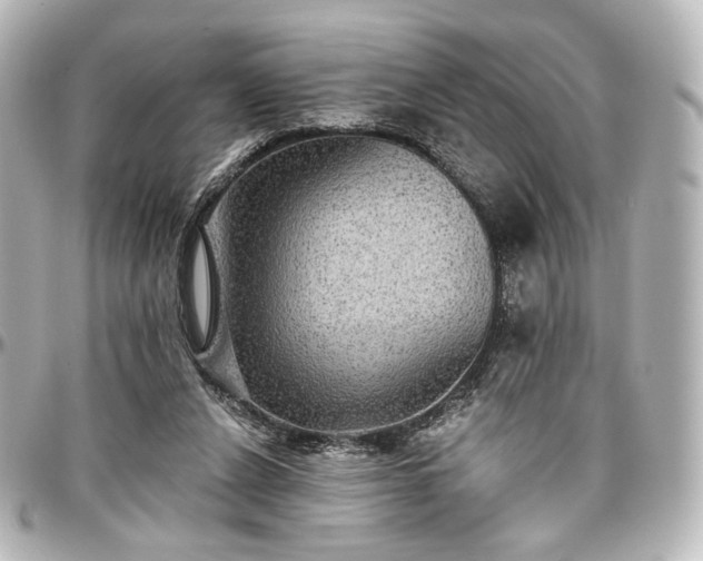 X0000097290256200802221318