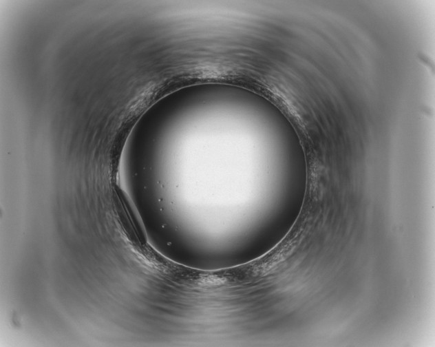 X0000097290257200802221318