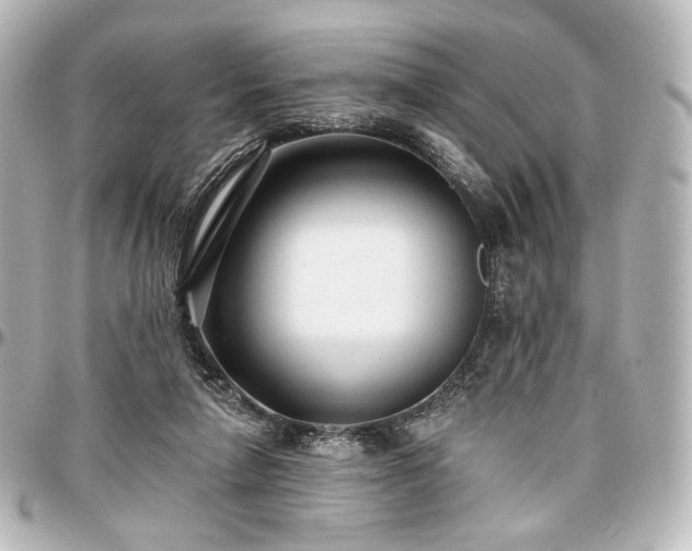 X0000097290258200802221318