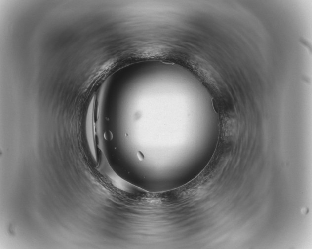 X0000097290260200802221318