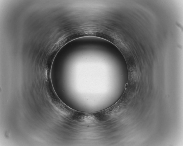 X0000097290262200802221318