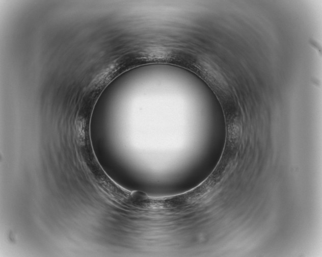 X0000097290264200802221318