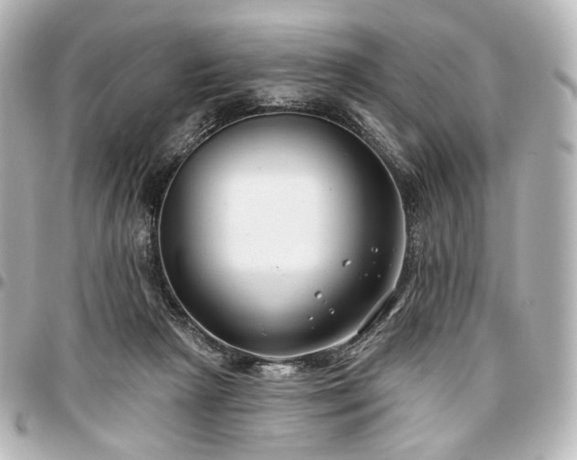 X0000097290265200802221318