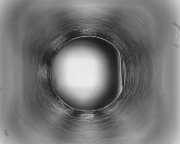 X0000097290266200802221318