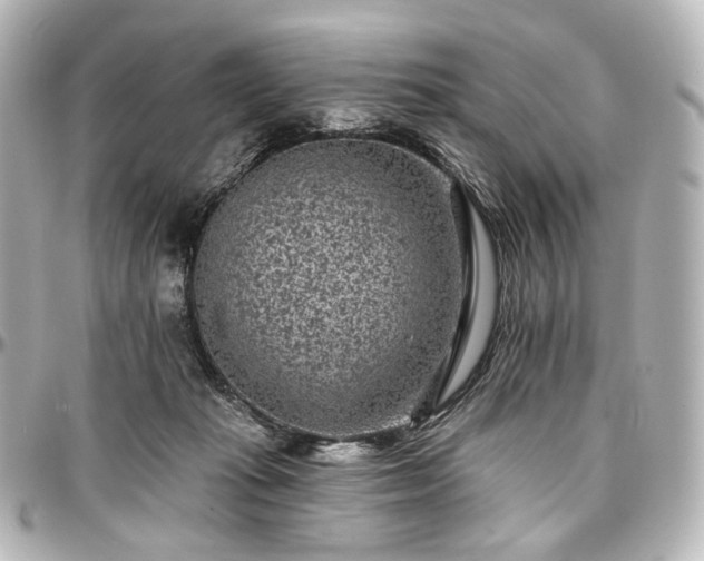 X0000097290269200802221318