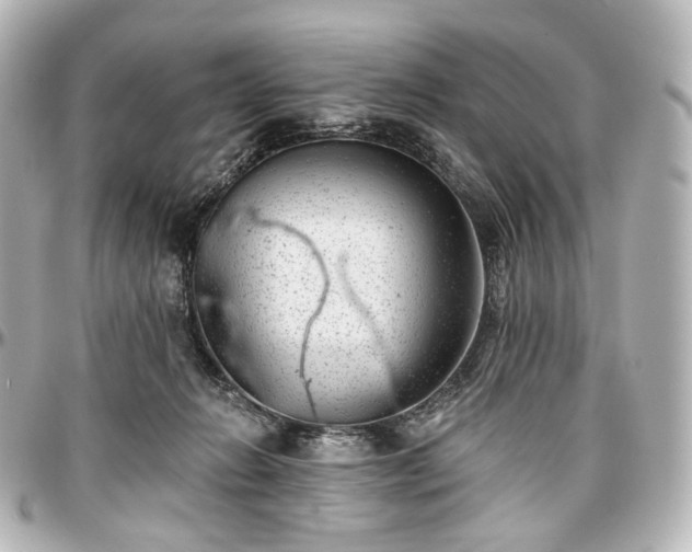 X0000097290270200802221318