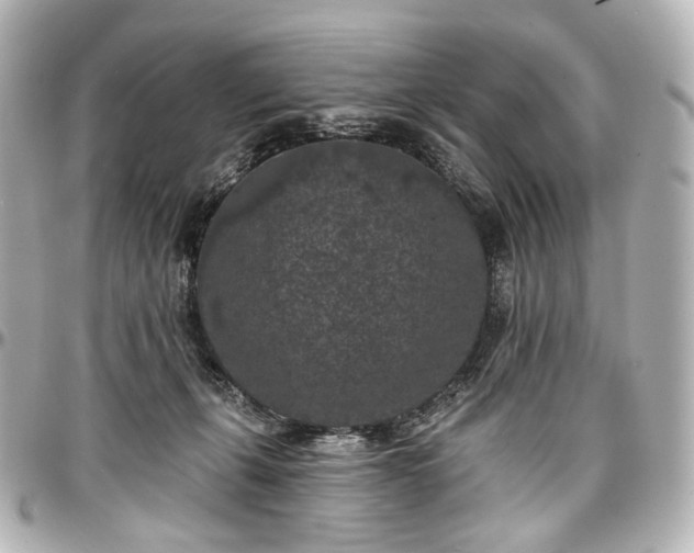 X0000097290271200802221318