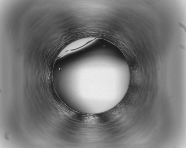 X0000097290274200802221318
