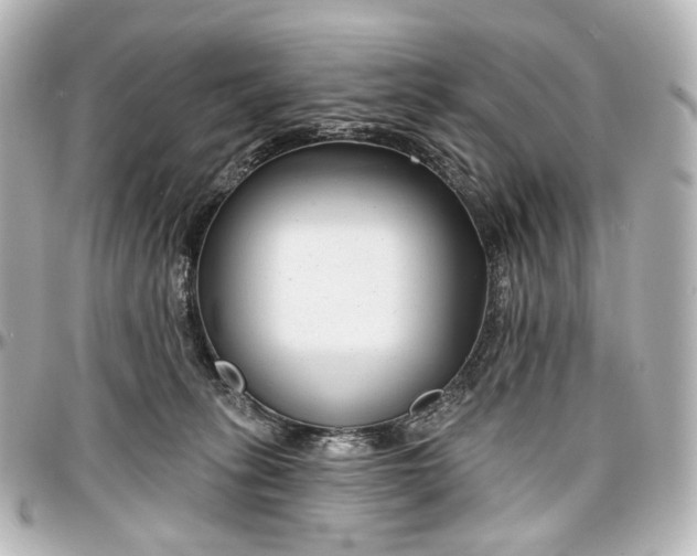 X0000097290275200802221318
