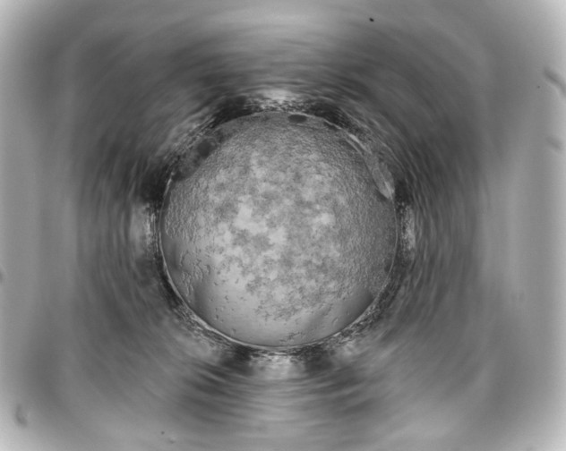 X0000097290276200802221318
