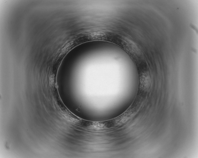 X0000097290278200802221318