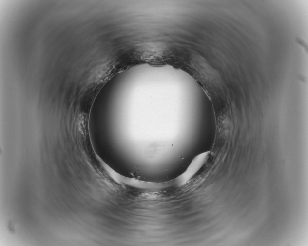 X0000097290280200802221318