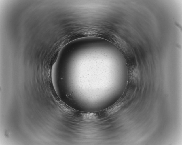 X0000097290281200802221319