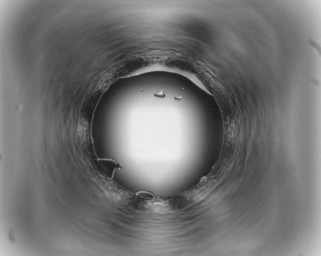 X0000097290283200802221319