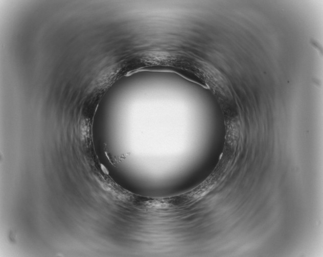 X0000097290284200802221319