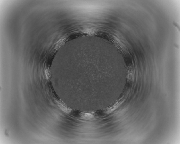 X0000097290285200802221319