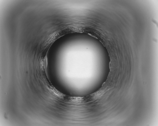 X0000097290288200802221319