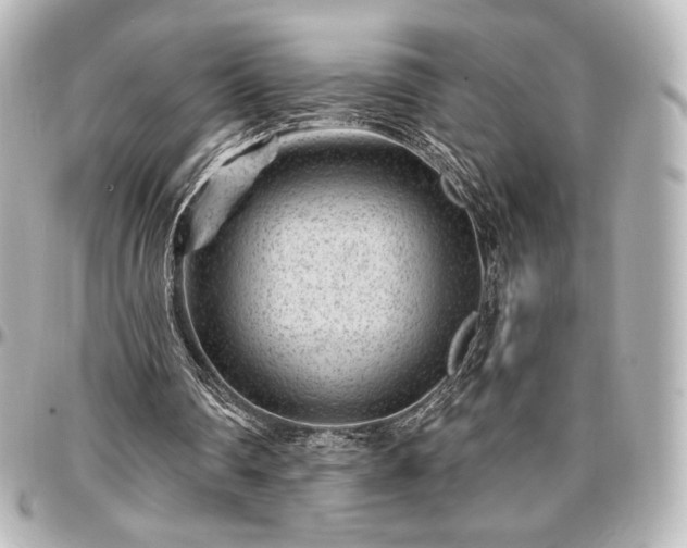 X0000097290290200802221318