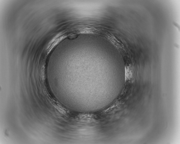 X0000097290291200802221318