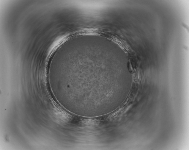 X0000097290293200802221318