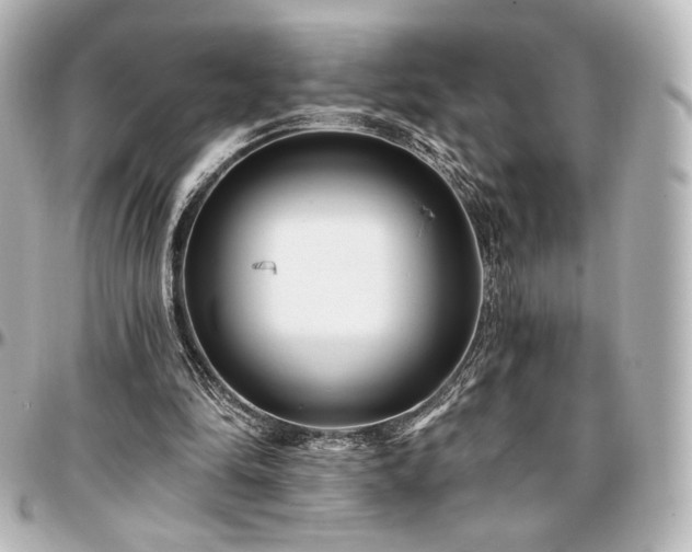 X0000097290294200802221318