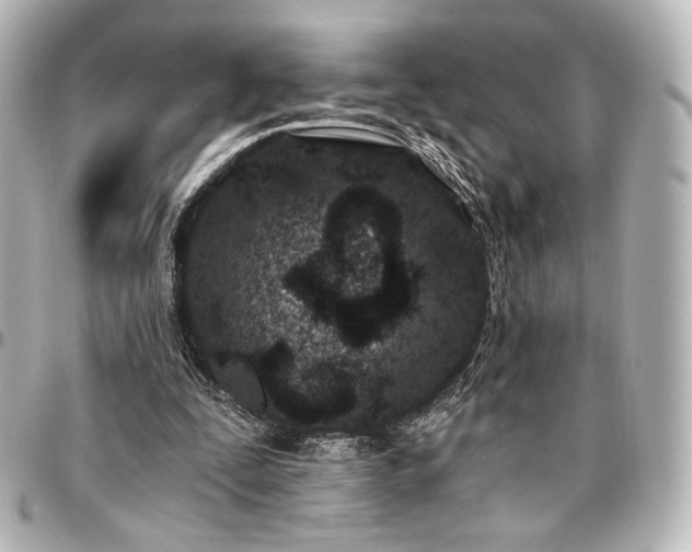 X0000097290295200802221318