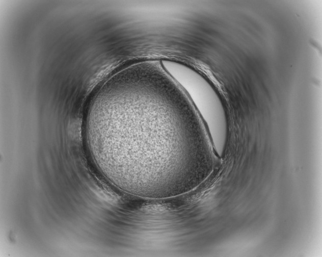 X0000097290299200802221318