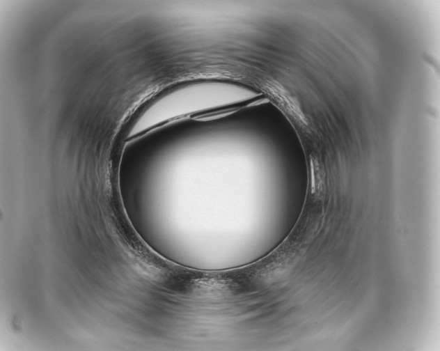 X0000097290300200802221318