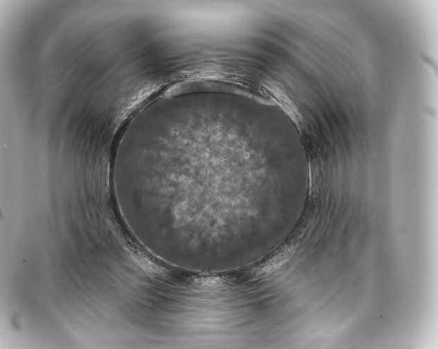 X0000097290301200802221318