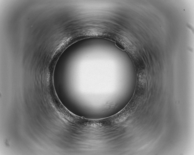 X0000097290304200802221318