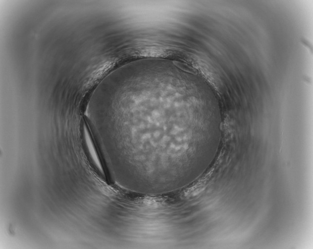 X0000097290305200802221318