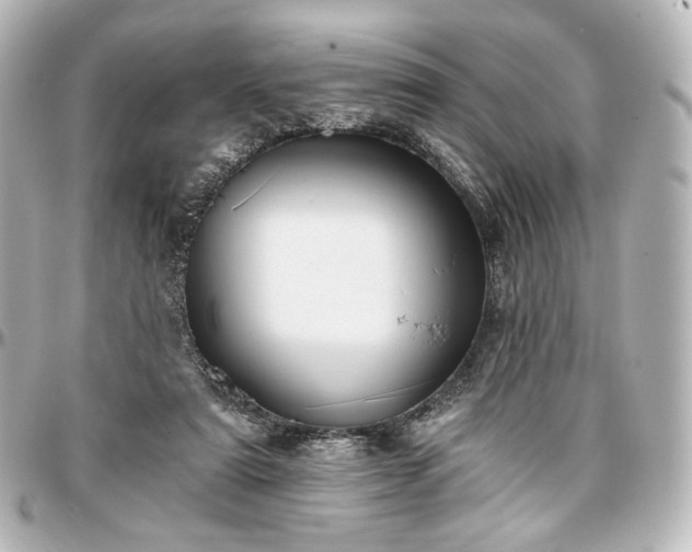 X0000097290307200802221318