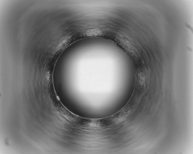 X0000097290308200802221318