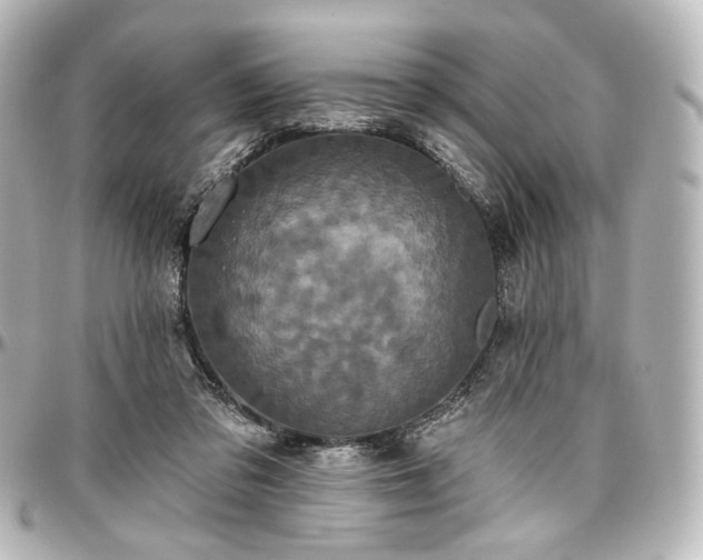 X0000097290309200802221318