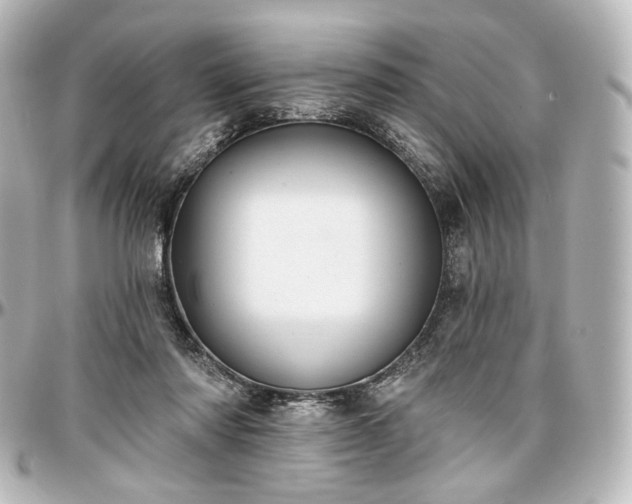 X0000097290310200802221318