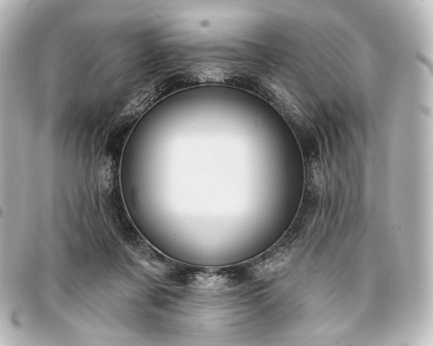 X0000097290311200802221318